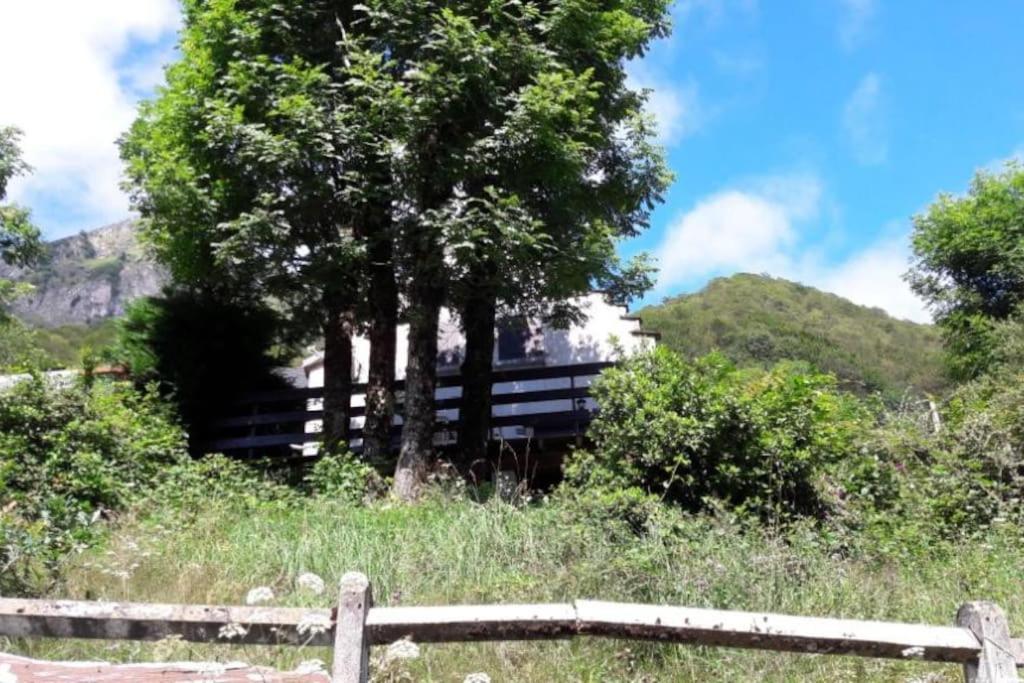 Chalet Oustaou Campan La Mongie Col Du Tourmalet מראה חיצוני תמונה